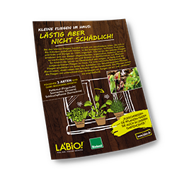 La'BiO! Motiv Fleischfressende Pflanzen A1